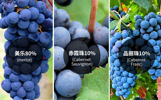 重慶葡萄酒批發(fā)市場