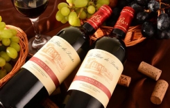 重慶進口紅酒哪里有賣的 青睞法國梅多克Médoc